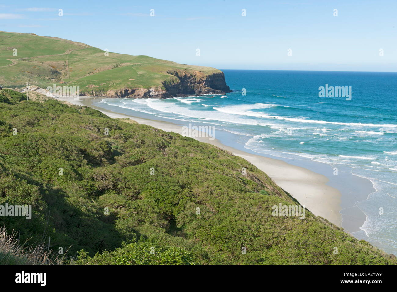 Spiaggia, Penisola di Otago, Otago, South Island, in Nuova Zelanda, Pacific Foto Stock