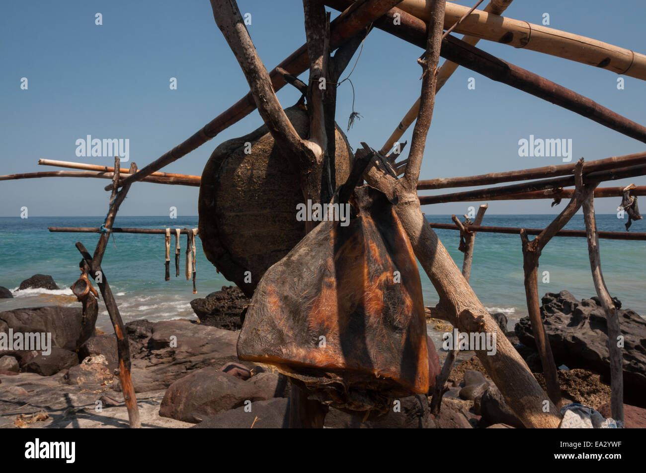 Carne di balena essiccato fino a sotto il sole, una visualizzazione normale a Lamalera village, Lembata Isola, Indonesia. Foto Stock