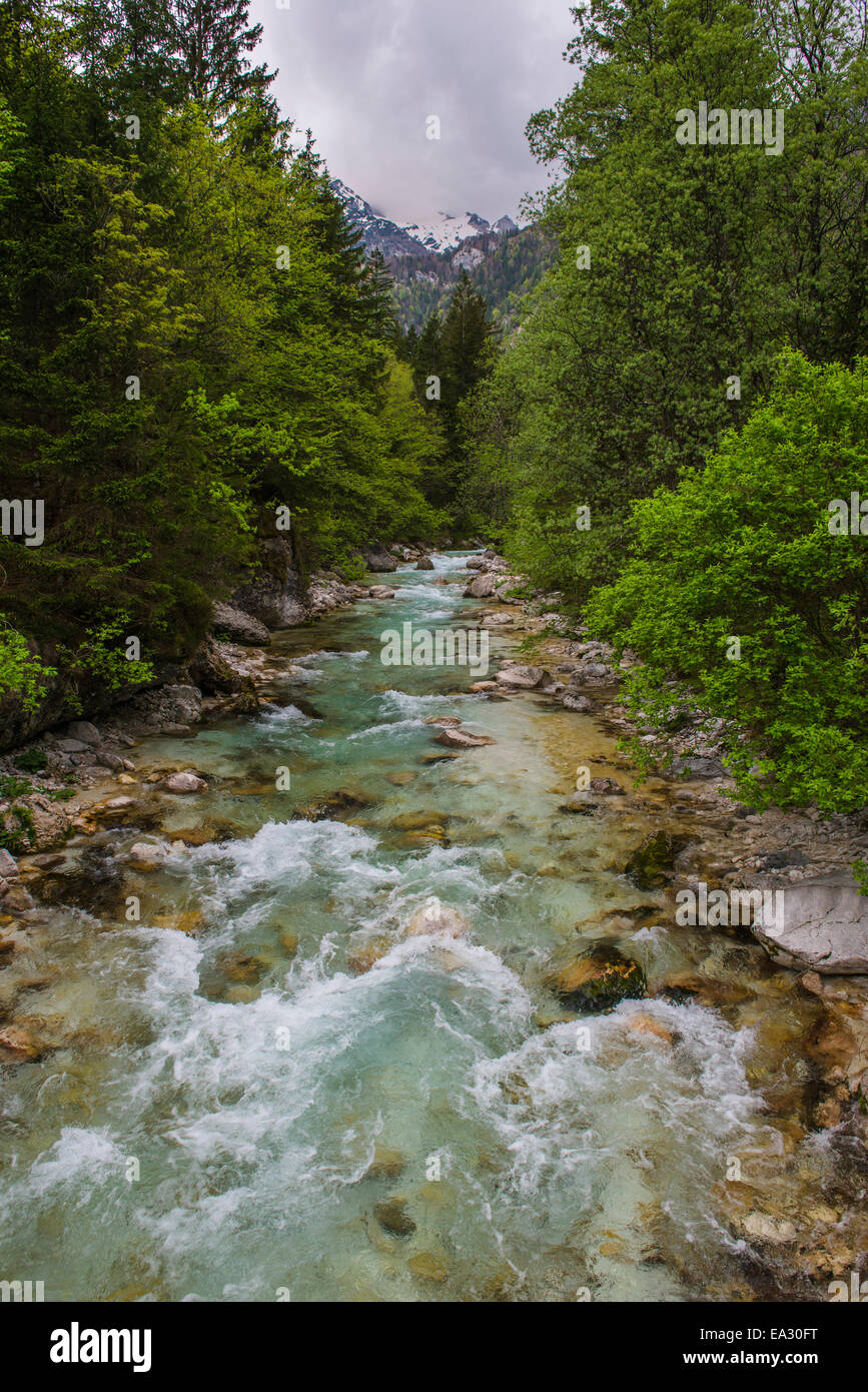 Soca Fiume Soca Valley, il Parco Nazionale del Triglav (del Tricorno narodni park), sulle Alpi Giulie, Slovenia, Europa Foto Stock