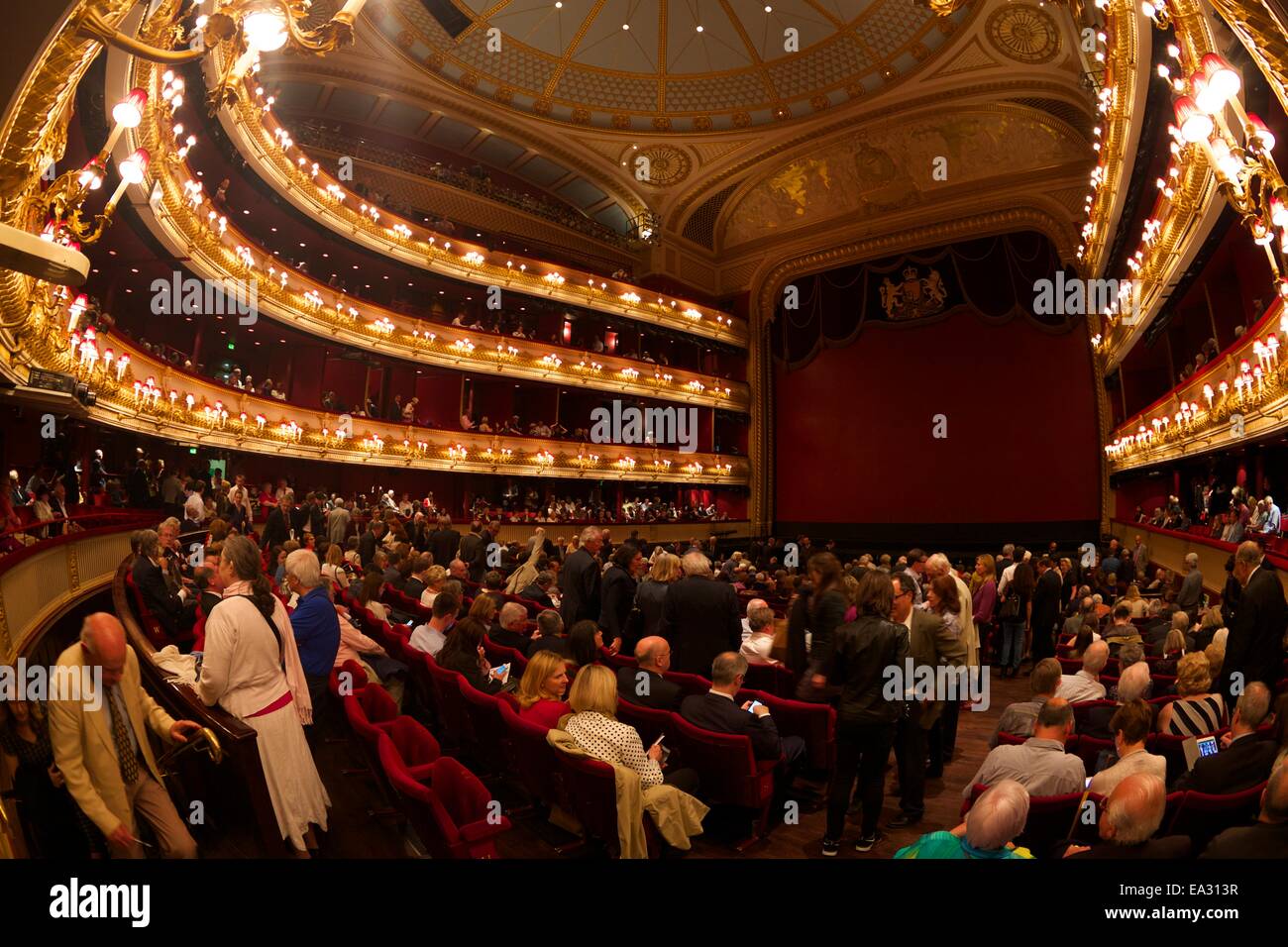 Pubblico in sala prima di prestazioni, Royal Opera House Covent Garden di Londra, Inghilterra, Regno Unito, Europa Foto Stock