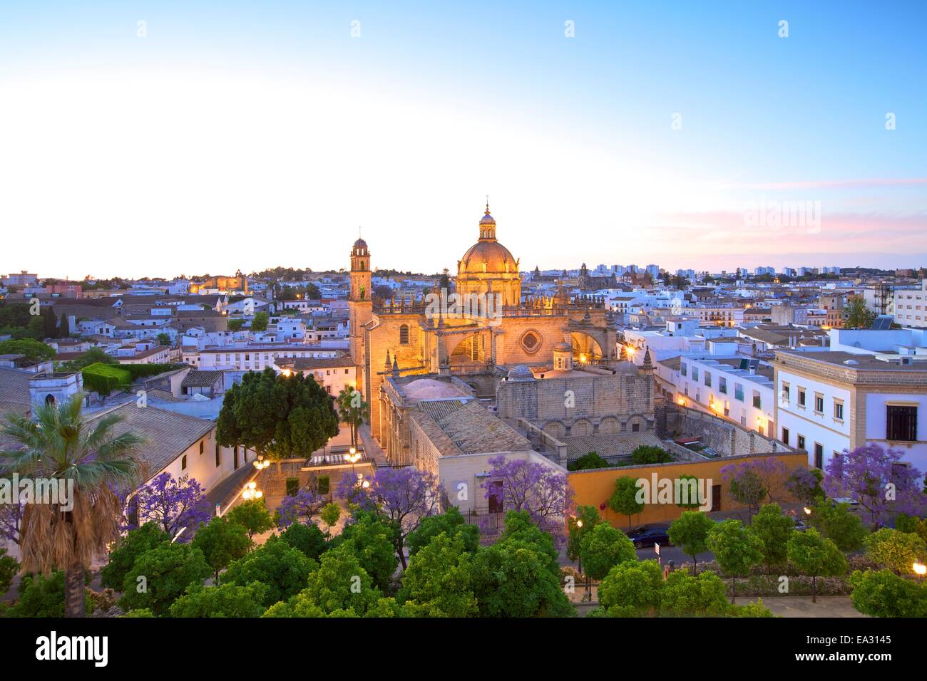 La Cattedrale di San Salvador al crepuscolo, Jerez de la Frontera, la provincia di Cadiz Cadice, Andalusia, Spagna, Europa Foto Stock