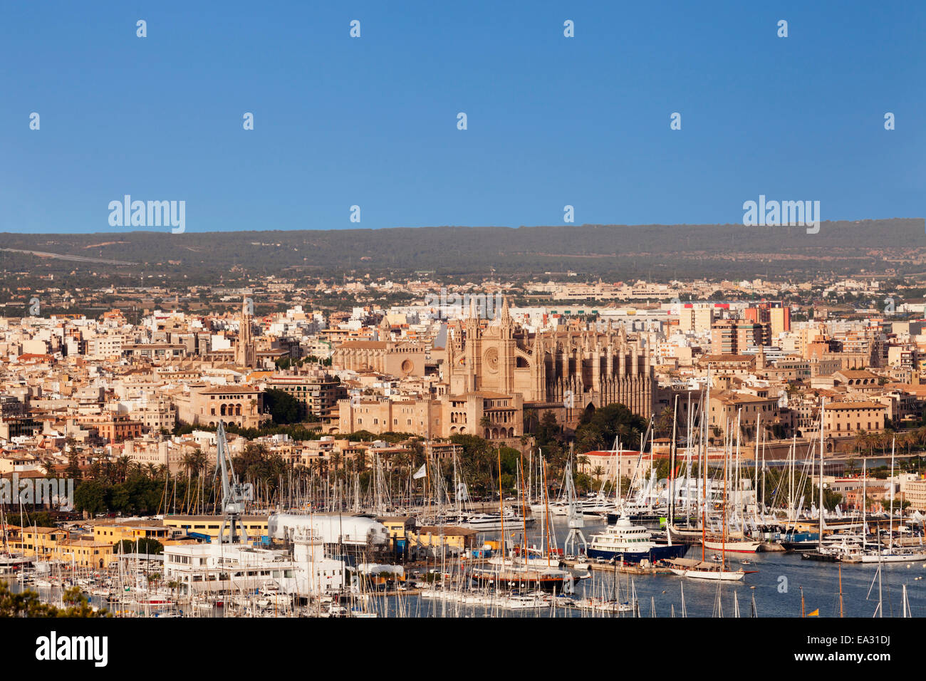 Vista su Palma de Mallorca con la Cattedrale di Santa Maria di Palma e Palazzo Almudaina, Maiorca, Spagna, Mediterranea Foto Stock
