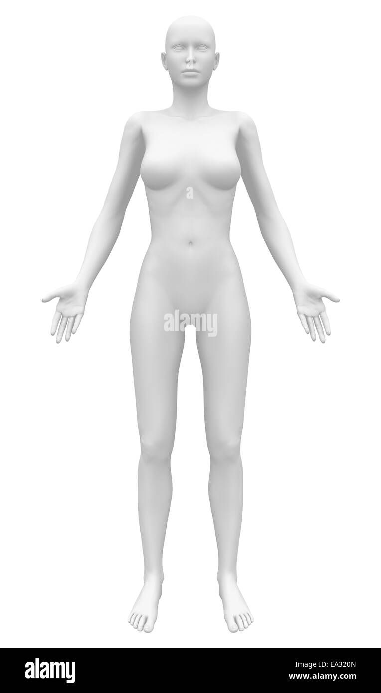 Anatomia vuoto figura femminile - Vista anteriore Foto Stock