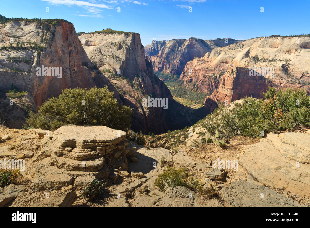 Vista in Zion Canyon dal sentiero per punto di osservazione, Zion Canyon Zion National Park, Utah, Stati Uniti d'America Foto Stock