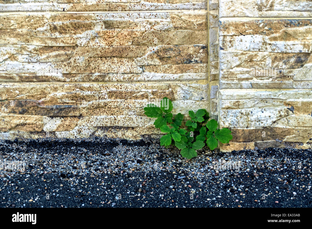 Pietra ornamentale recinzione, bordata di asfalto con ghiaia. Foto Stock
