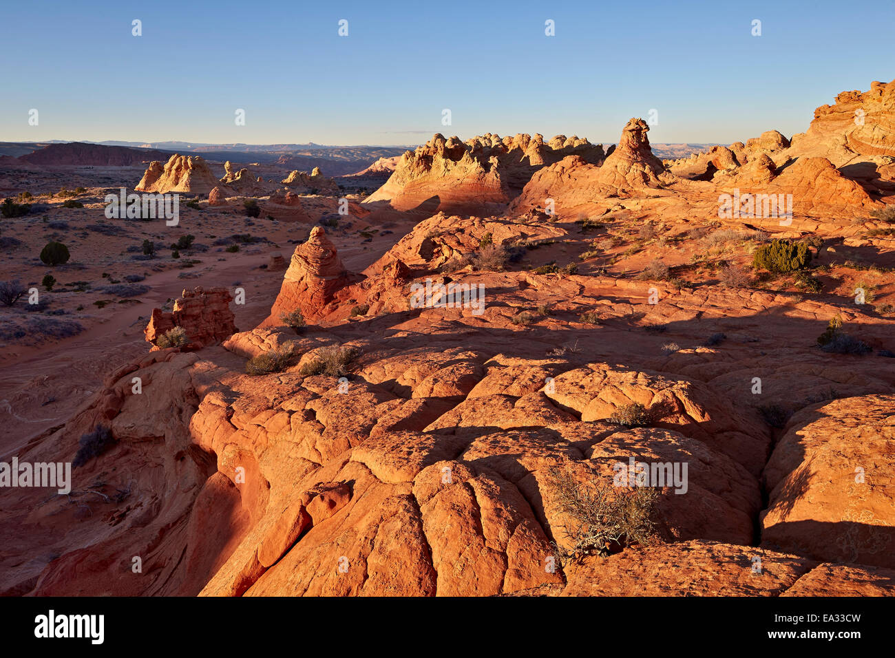 Formazioni di arenaria, Coyote Buttes deserto Vermiglio scogliere monumento nazionale, Arizona, Stati Uniti d'America Foto Stock