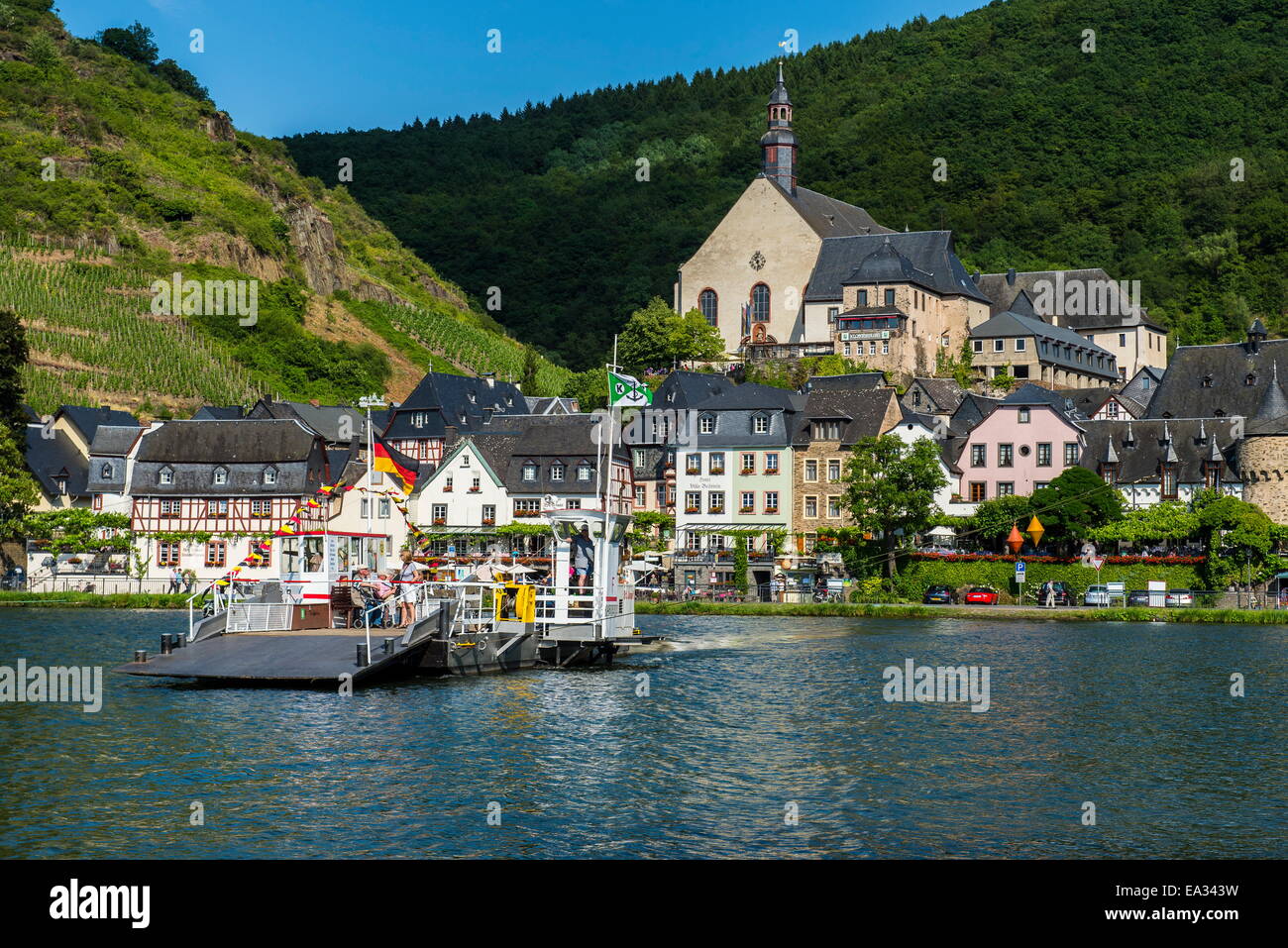 Traghetto per auto che attraversa il fiume Moselle vicino Beilstein, Valle della Mosella, Renania-Palatinato, Germania, Europa Foto Stock