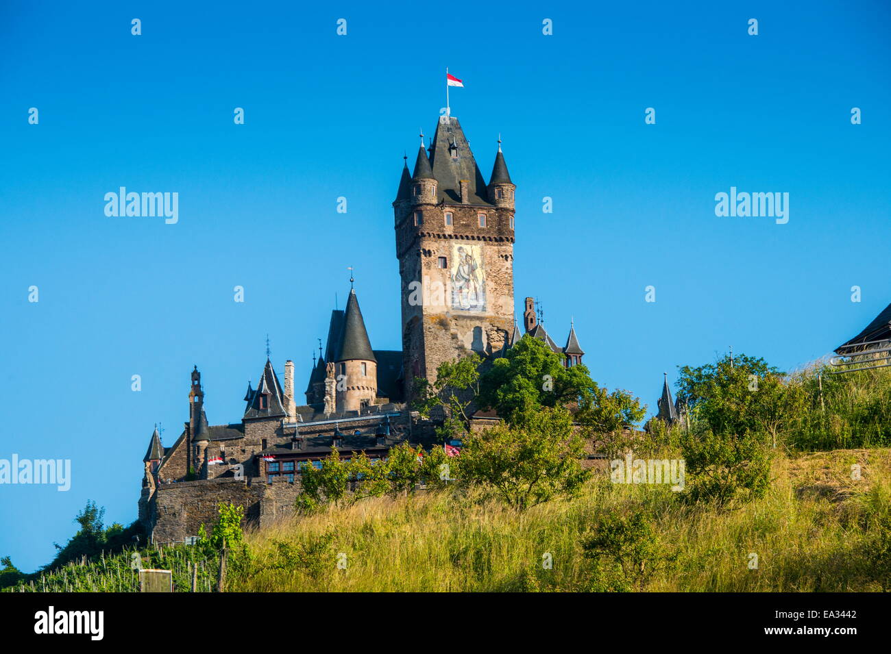 Il castello di Cochem, Cochem, Valle della Mosella, Renania-Palatinato, Germania, Europa Foto Stock