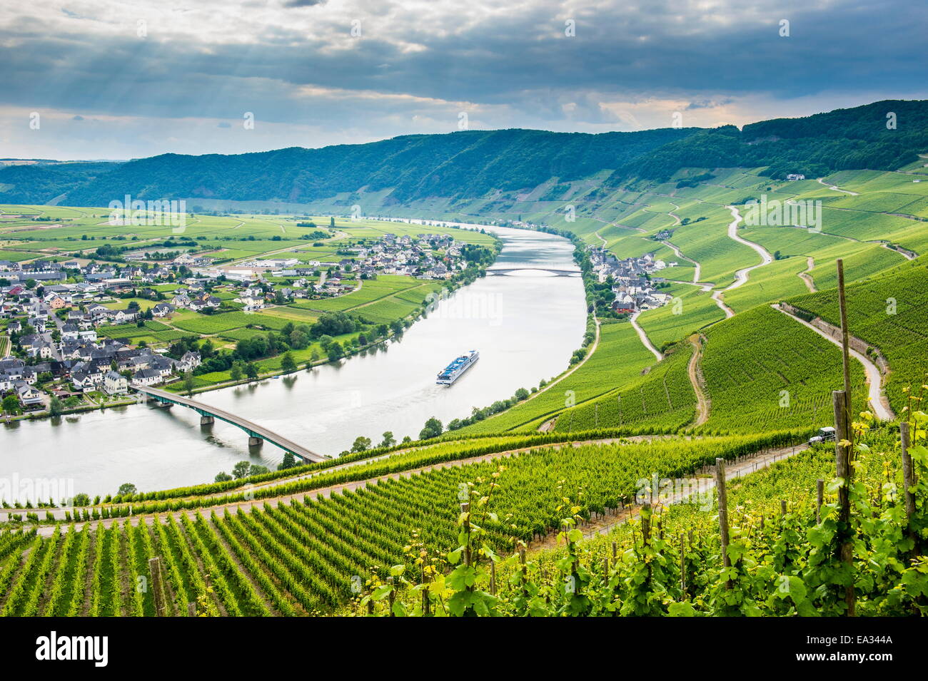 La nave di crociera passando il riverbend a Minnheim, Valle della Mosella, Renania-Palatinato, Germania, Europa Foto Stock