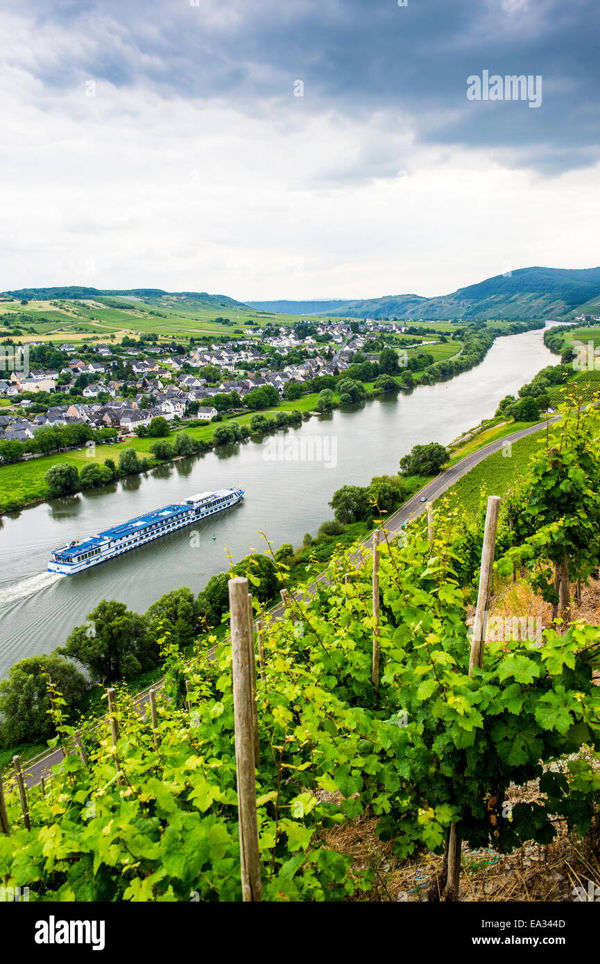 La nave di crociera passando un vigneto in Muehlheim,, Valle della Mosella, Renania-Palatinato, Germania, Europa Foto Stock