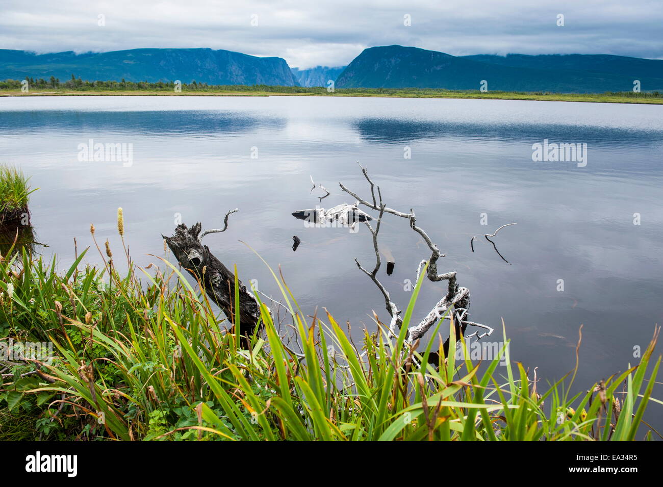 Jerrys stagno nel patrimonio mondiale dell'Unesco, Gros Mourne National Park, Terranova, Canada Foto Stock