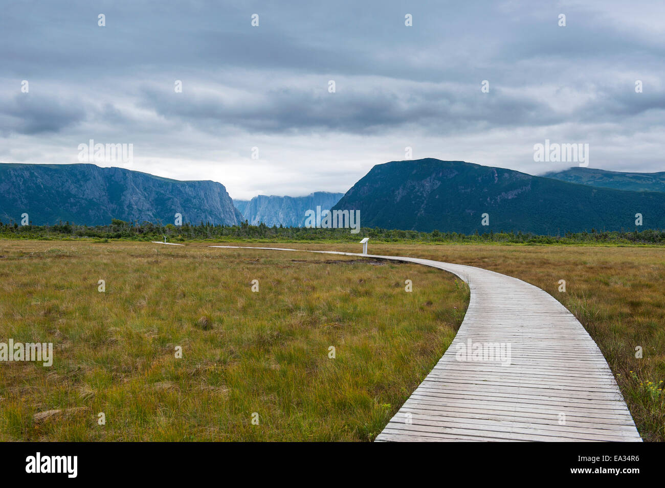 La passerella lungo Jerrys stagno nel Parco Nazionale Gros Morne, Sito Patrimonio Mondiale dell'UNESCO, Terranova, Canada, America del Nord Foto Stock