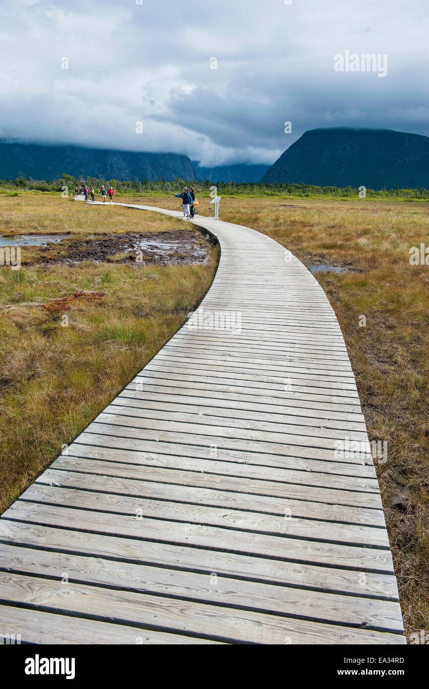 La passerella lungo Jerrys stagno nel Parco Nazionale Gros Morne, Sito Patrimonio Mondiale dell'UNESCO, Terranova, Canada, America del Nord Foto Stock