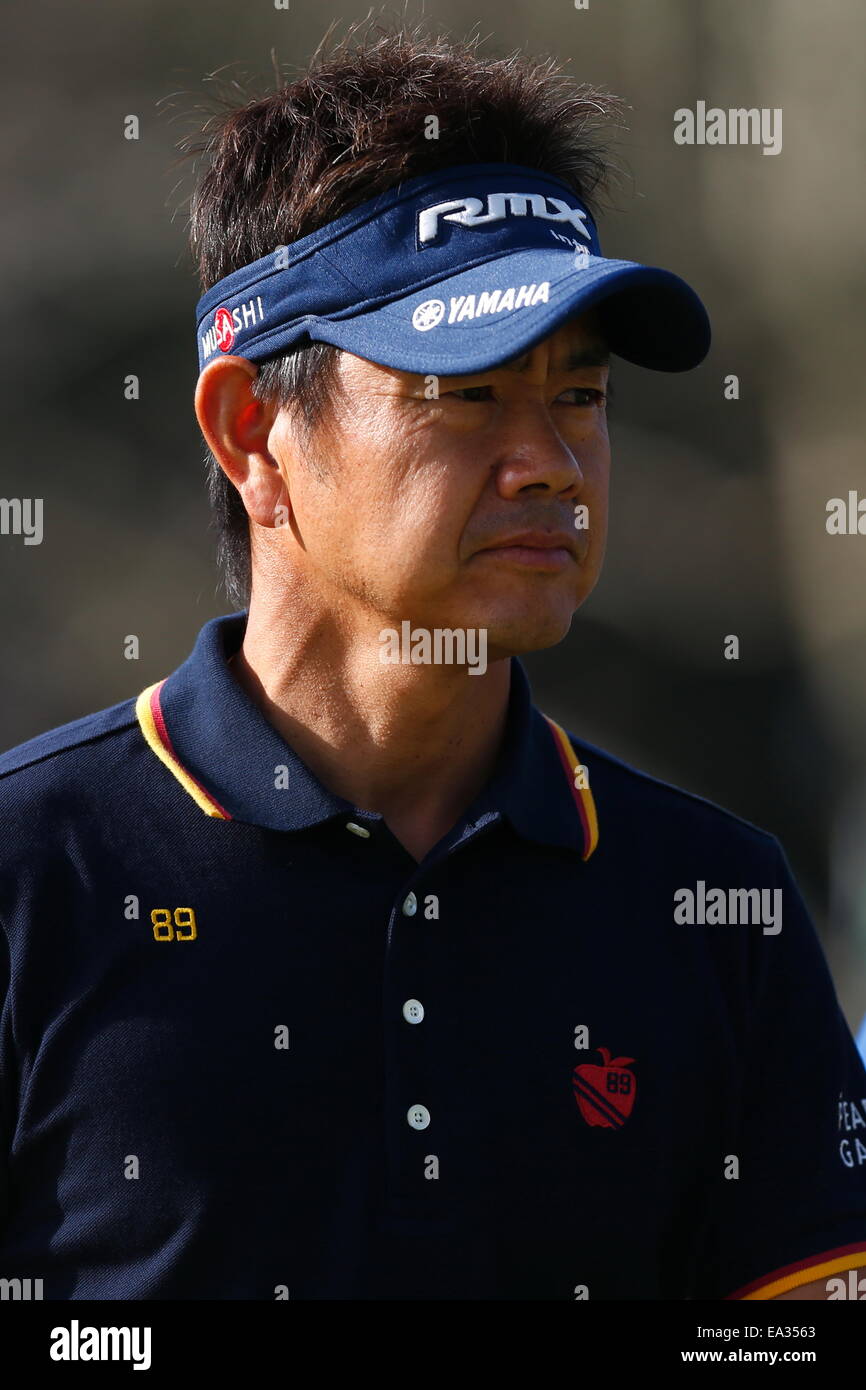Chiba, Giappone. 6 Nov, 2014. Hiroyuki Fujita Golf : HEIWA PGM CAMPIONATO Kasumigaura nel primo round a Miho Golf Club a Chiba, Giappone . © AFLO SPORT/Alamy Live News Foto Stock