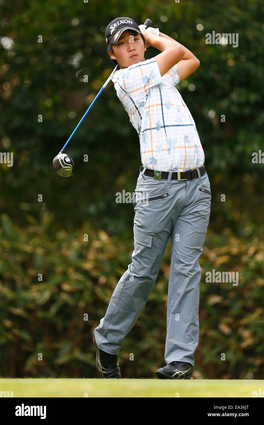 Chiba, Giappone. 6 Nov, 2014. Takashi Ogiso Golf : HEIWA PGM CAMPIONATO Kasumigaura nel primo round a Miho Golf Club a Chiba, Giappone . © AFLO SPORT/Alamy Live News Foto Stock