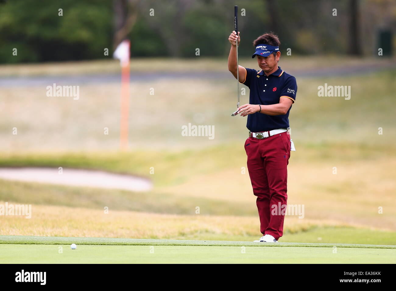 Chiba, Giappone. 6 Nov, 2014. Hiroyuki Fujita Golf : HEIWA PGM CAMPIONATO Kasumigaura nel primo round a Miho Golf Club a Chiba, Giappone . © AFLO SPORT/Alamy Live News Foto Stock