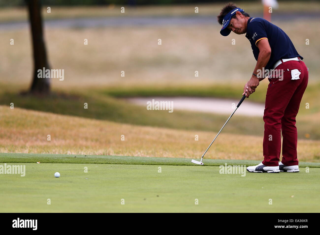 Chiba, Giappone. 6 Nov, 2014. Hiroyuki Fujita Golf : HEIWA PGM CAMPIONATO Kasumigaura nel primo round a Miho Golf Club a Chiba, Giappone . © AFLO SPORT/Alamy Live News Foto Stock