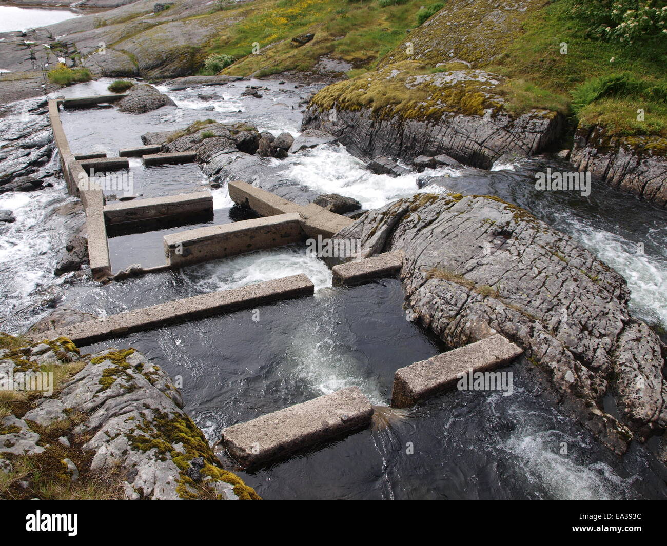 Scala di Pesce, Lofoten, Norvegia Foto Stock