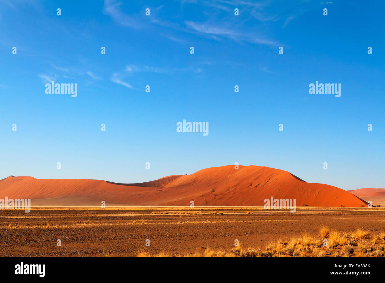 Le dune di sabbia di Sossusvlei Foto Stock