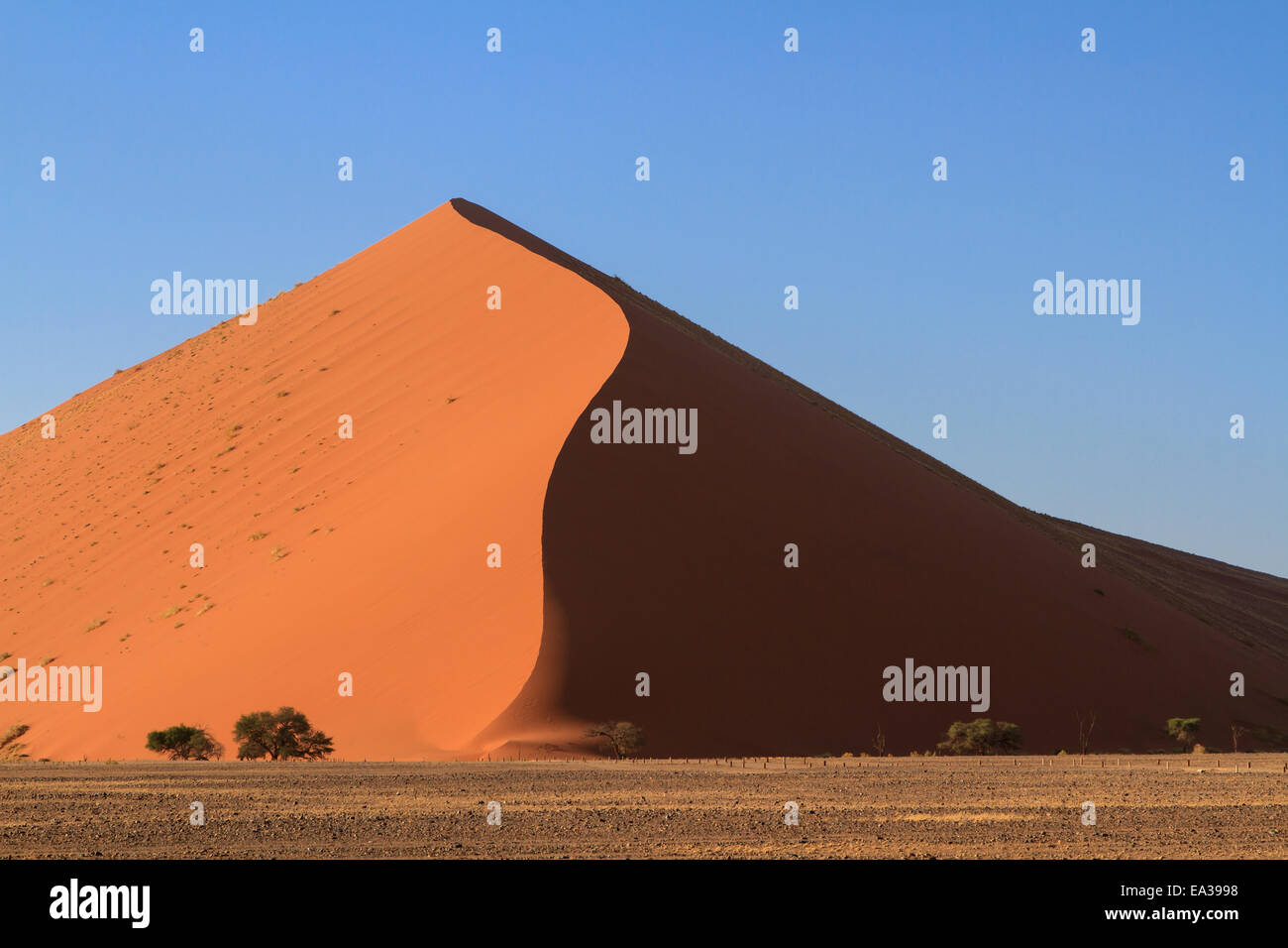 Le dune di sabbia di Sossusvlei Foto Stock