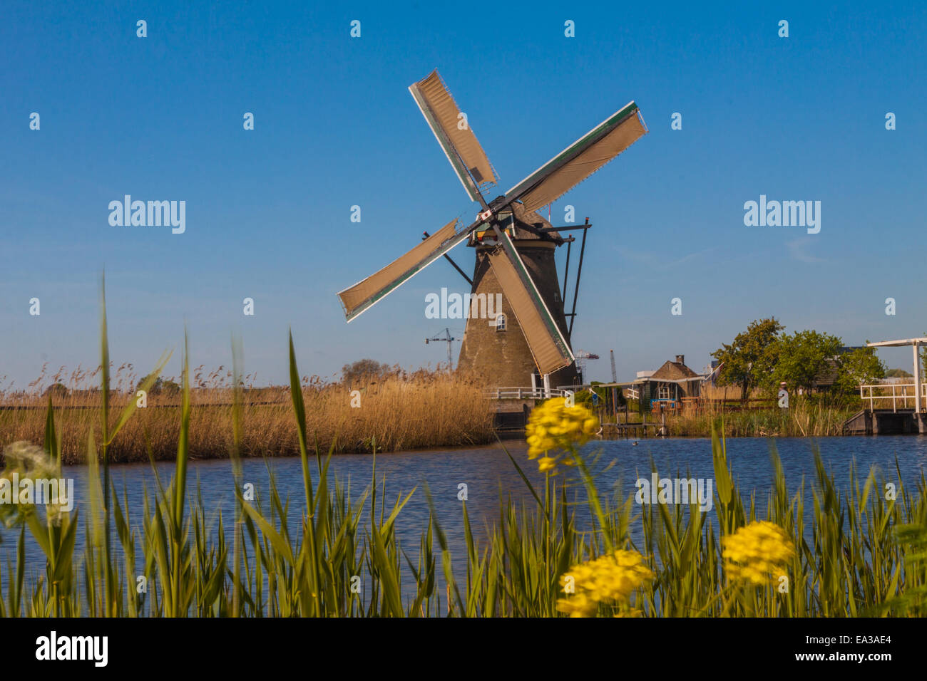 Molen van Kinderdijk Foto Stock