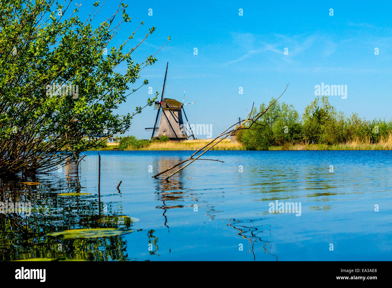 Molen van Kinderdijk Foto Stock