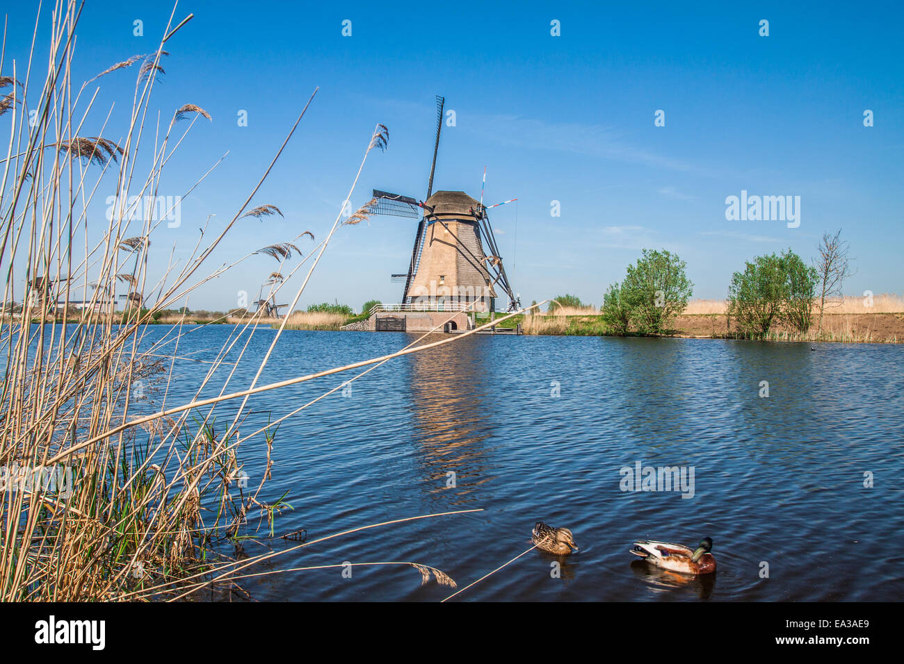 Molen van Kinderdijk Foto Stock