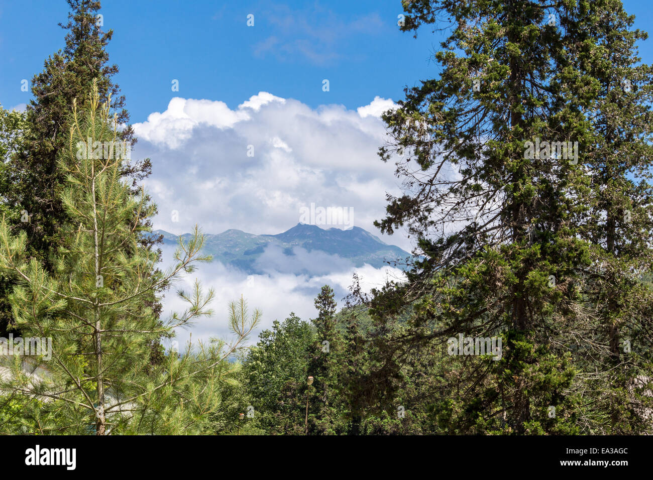 Vista delle montagne del Caucaso, Abcasia Foto Stock