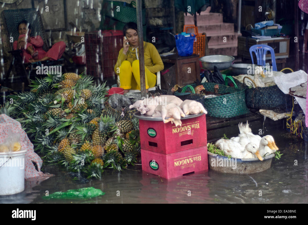 Può mao mercato durante forti piogge monsoniche,può Mao,Delta del Mekong, Vietnam Foto Stock