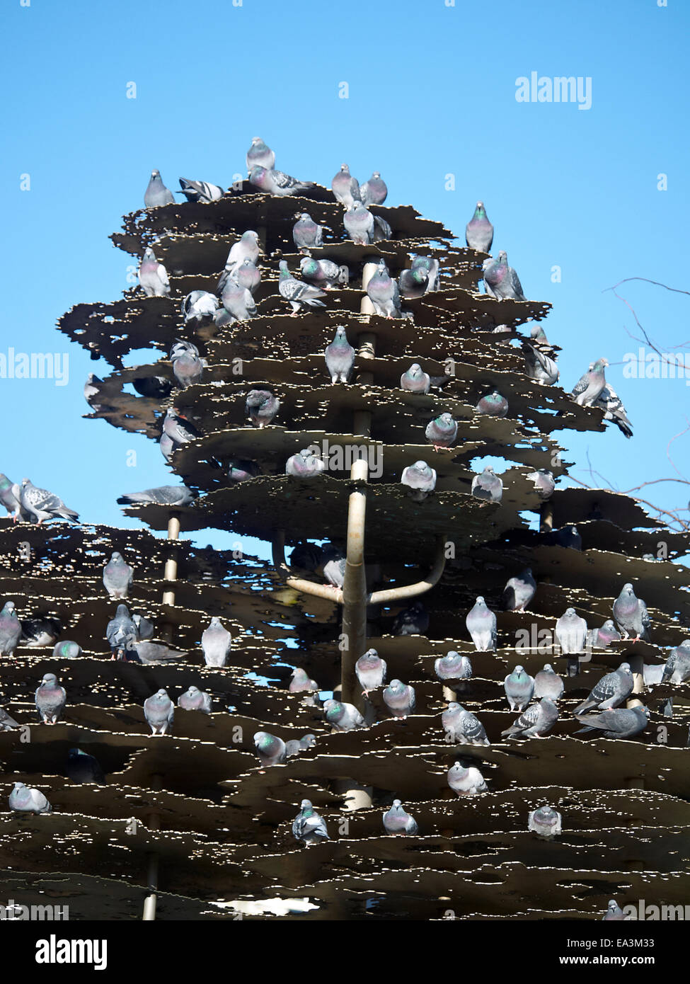 Albero della Memoria opera in Piccadilly Gardens, luogo di riposo per i lotti di piccioni in Manchester REGNO UNITO Foto Stock