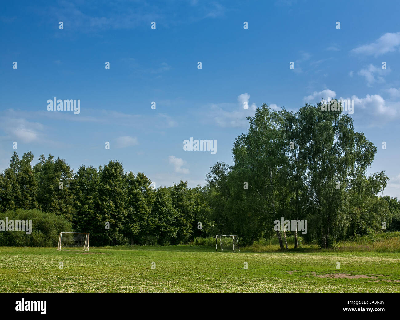 Campo di calcio, Regione di Mosca, Russia Foto Stock