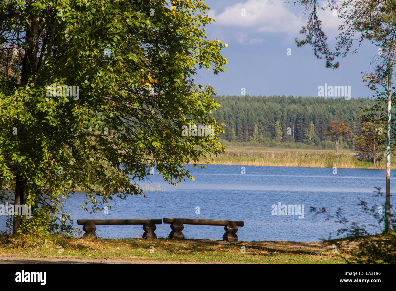 Panca in legno a riva del lago, lago Seliger, Regione di Tver, Russia Foto Stock