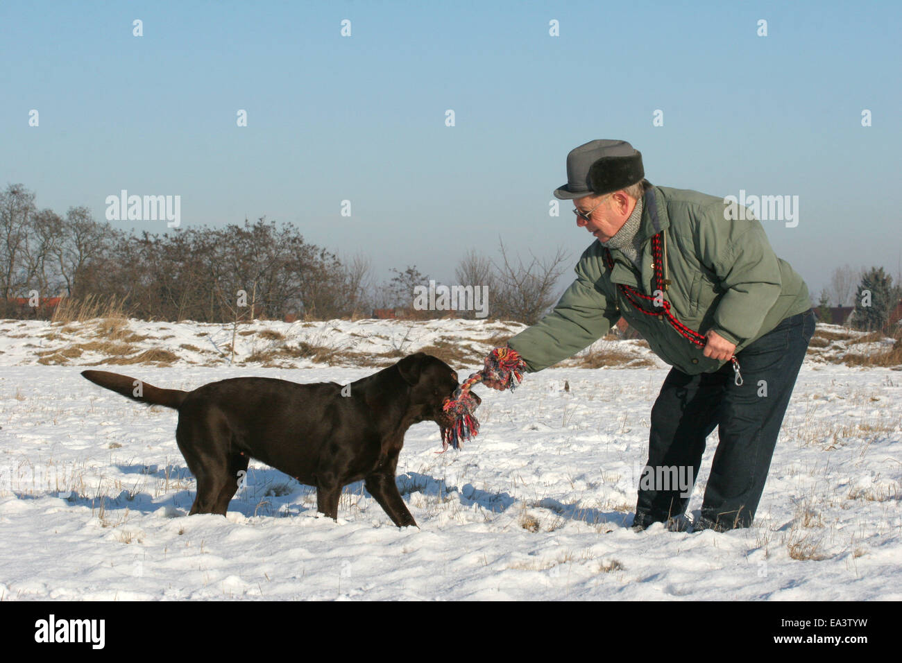 Senior giocando con il Labrador Retriever Foto Stock