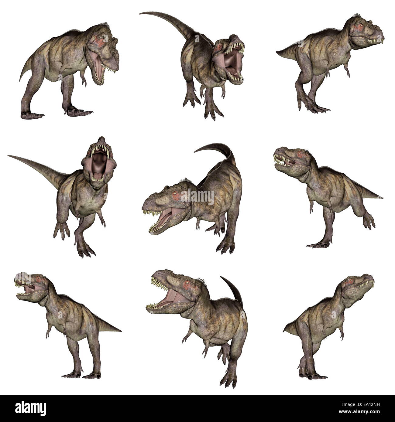 Tyrannosaurus rex dinosauri - 3D render Foto Stock