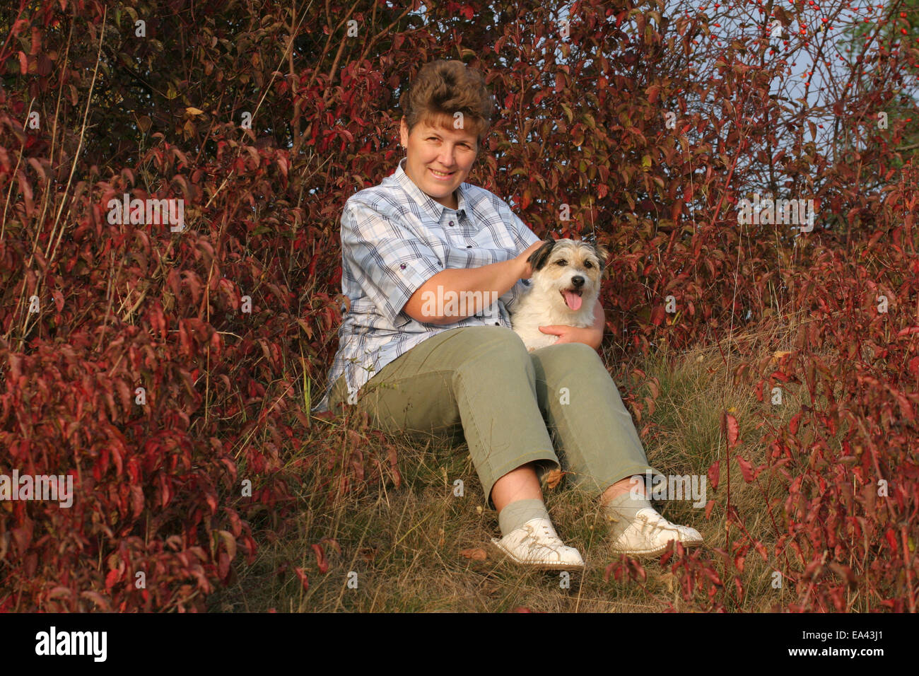 Donna e Parson Russell Terrier Foto Stock