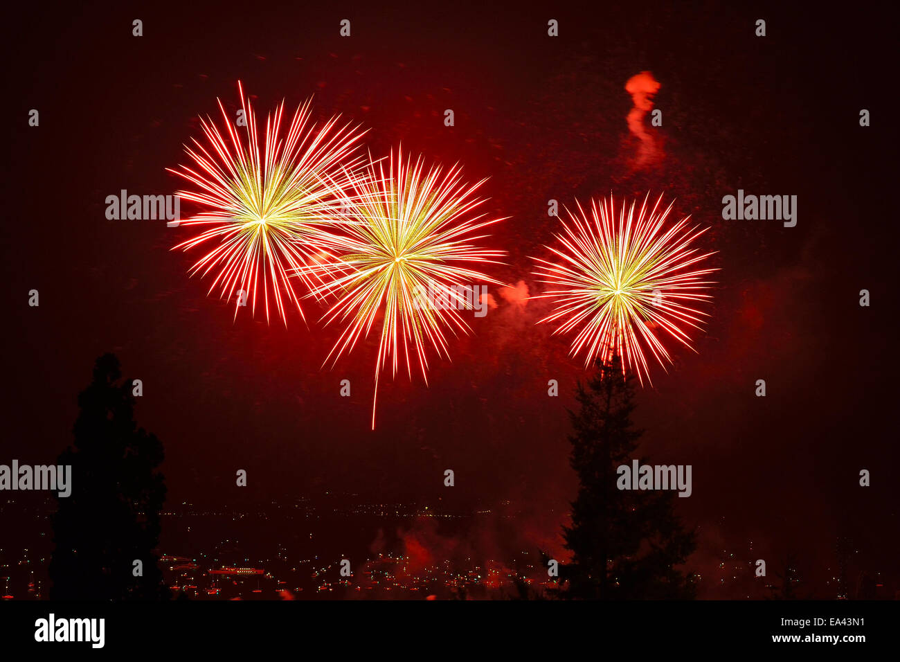 Fuochi d'artificio sul lago di Neuchâtel, Svizzera durante la festa nazionale svizzera, 1 Agosto 2014 Foto Stock