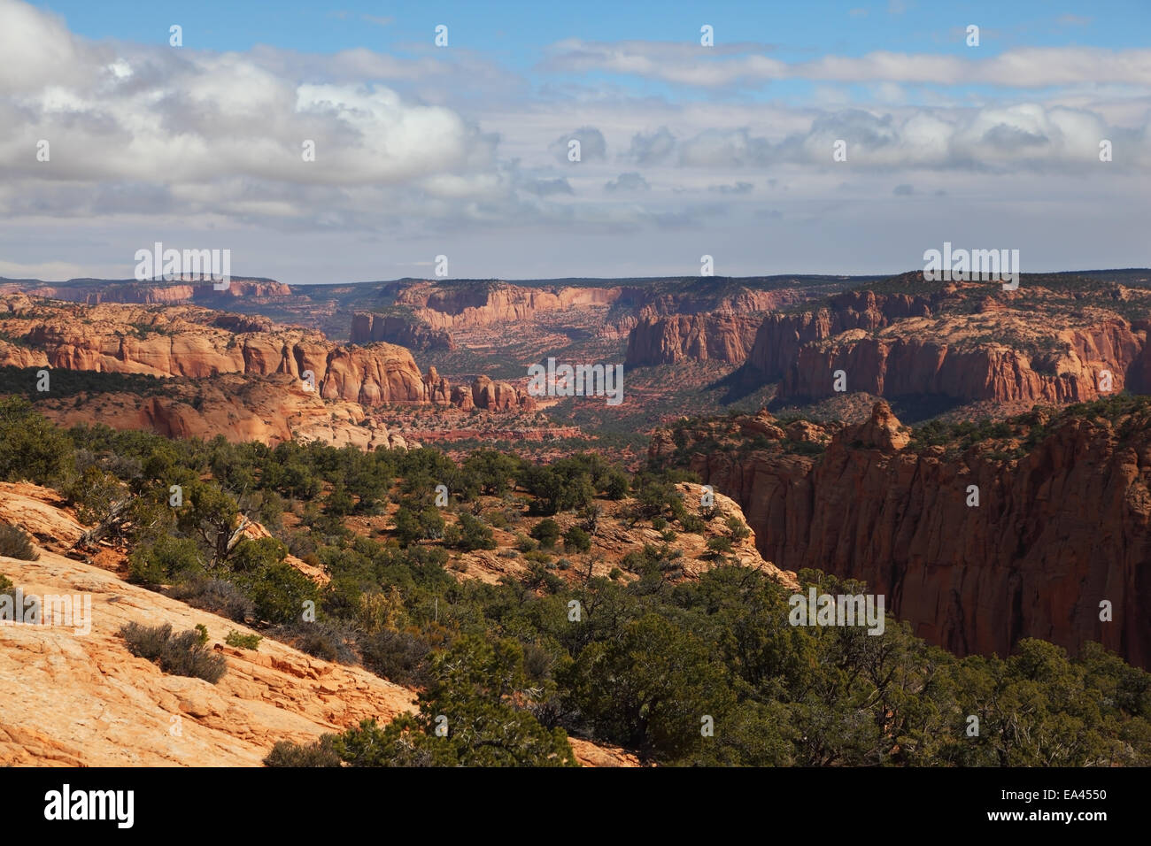 Navajo Monument - un maestoso paesaggio Foto Stock
