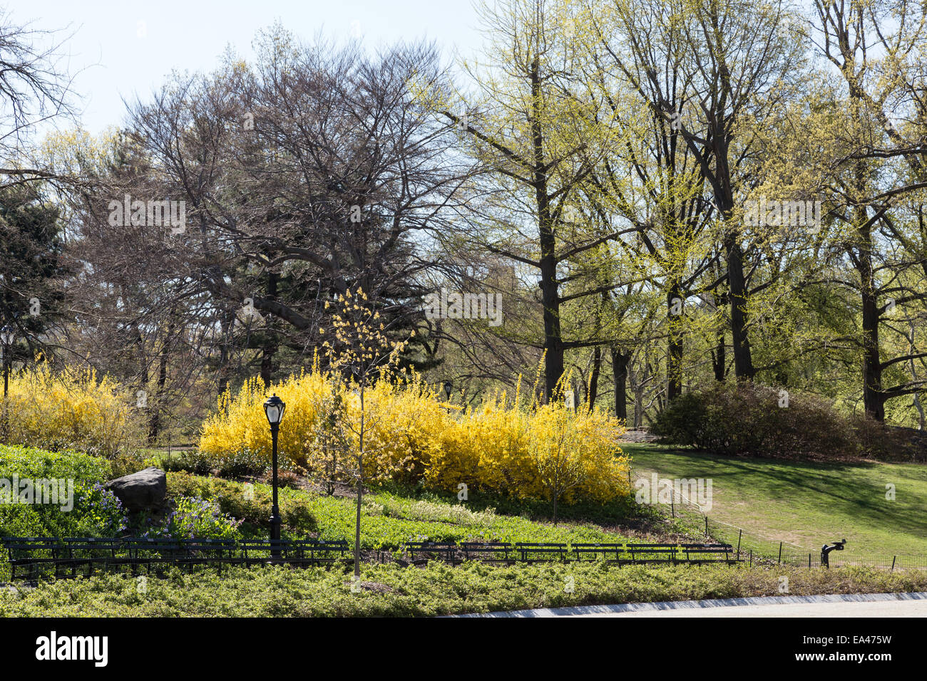 Primavera nel Central Park di New York Foto Stock