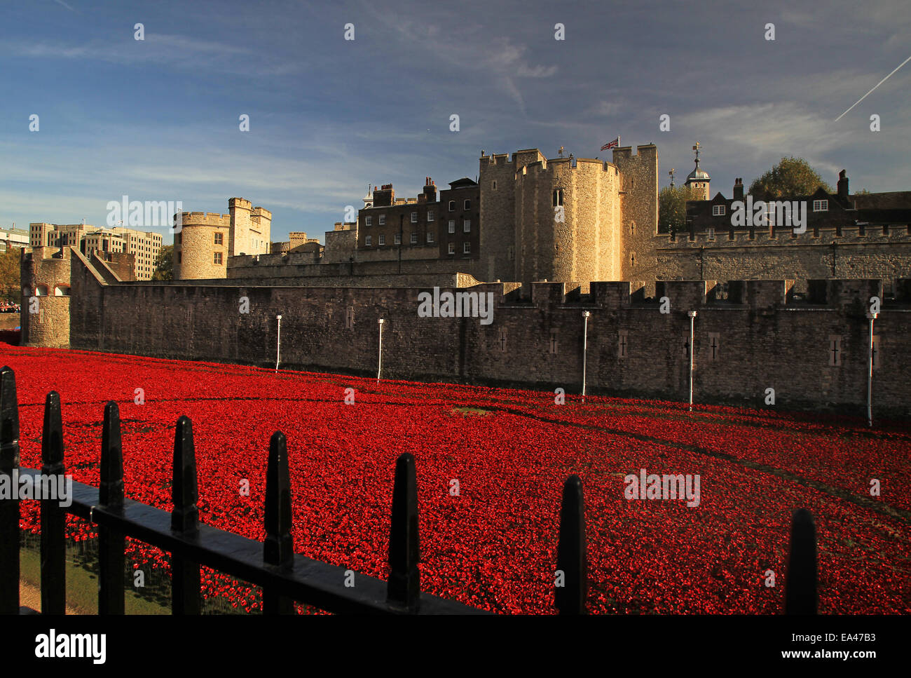 Ceramica di installazione di papavero sangue spazzata di terre e mari di rosso alla Torre di Londra Foto Stock