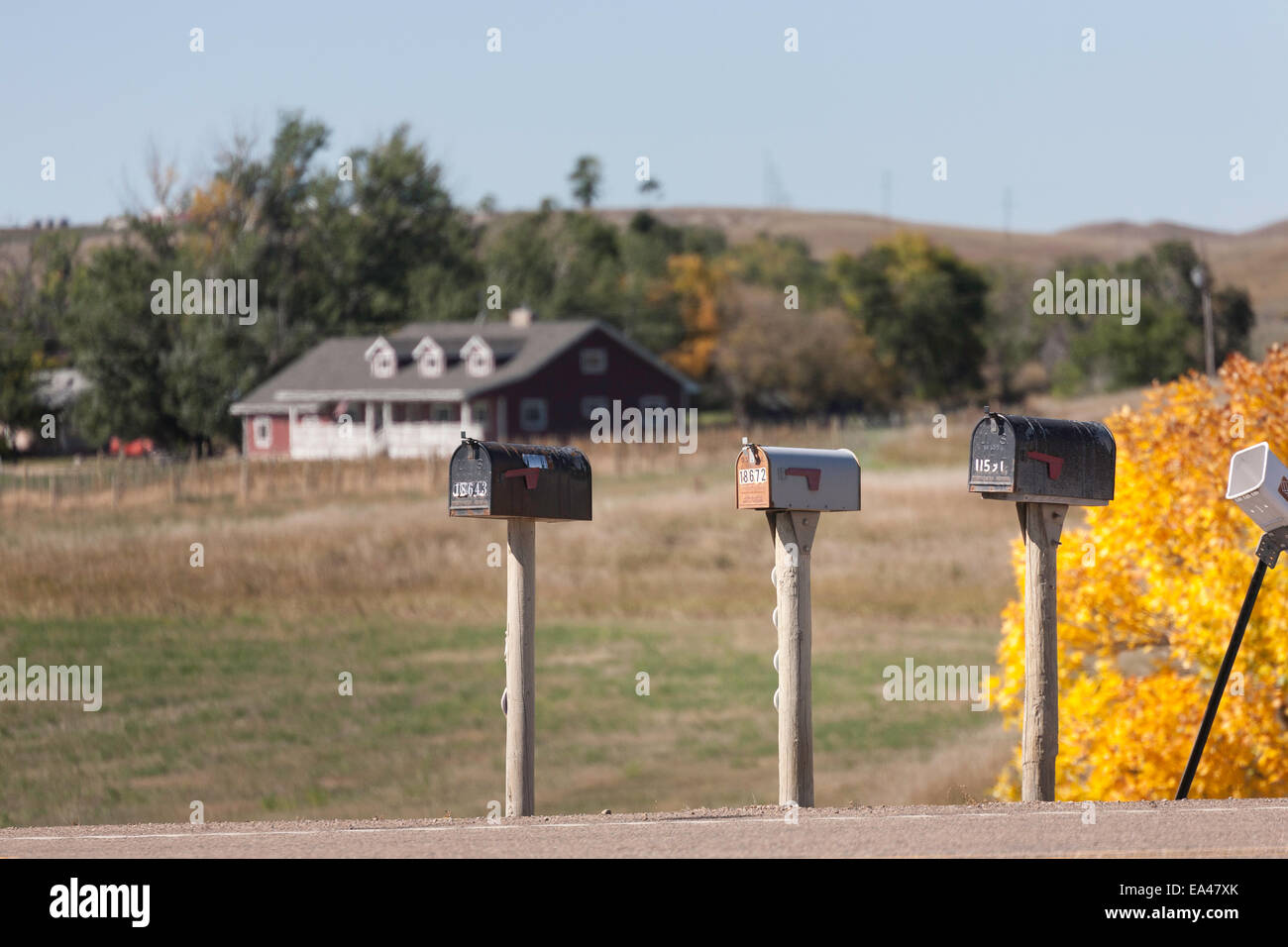 Linea di cassette postali (nelle cassette delle lettere) su rurale strada sterrata, Dakota del Sud, STATI UNITI D'AMERICA Foto Stock