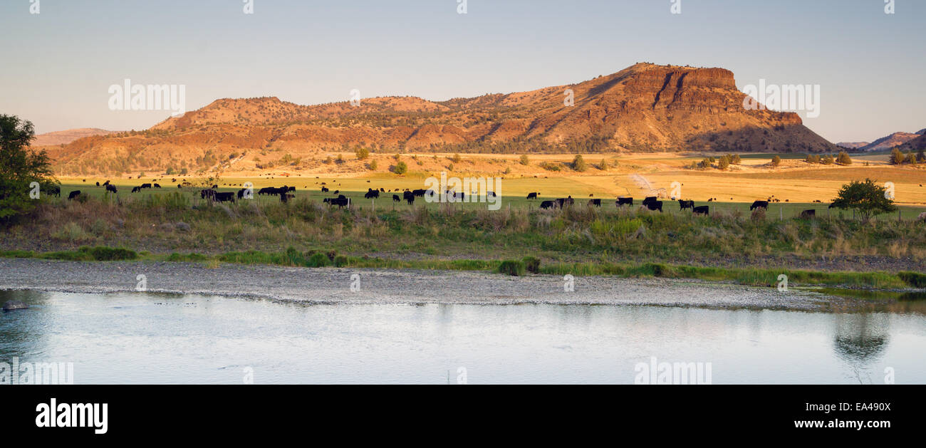 Il sole ha quasi set su questo ranch di bestiame in Oregon terra deserta Foto Stock