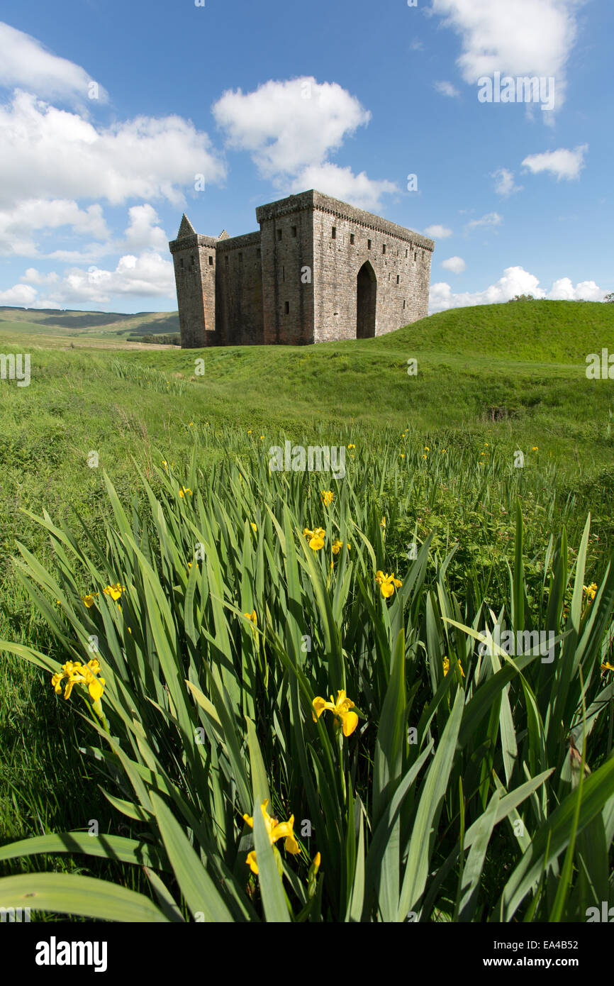 Hermitage Castello, Scozia. Vista pittoresca del storiche rovine del castello di Hermitage occidentali e facciate del nord. Foto Stock