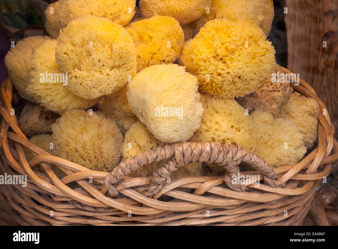 Cesto di naturaal spugne Foto Stock