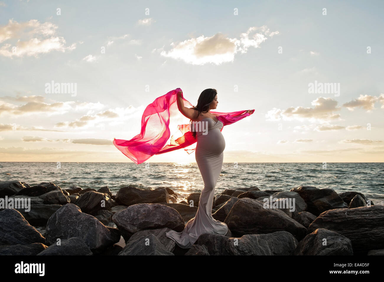 Una bellissima donna incinta su una spiaggia rocciosa di sunrise. Ella è in possesso di una rosa, velo di seta che scorre nel vento. Foto Stock