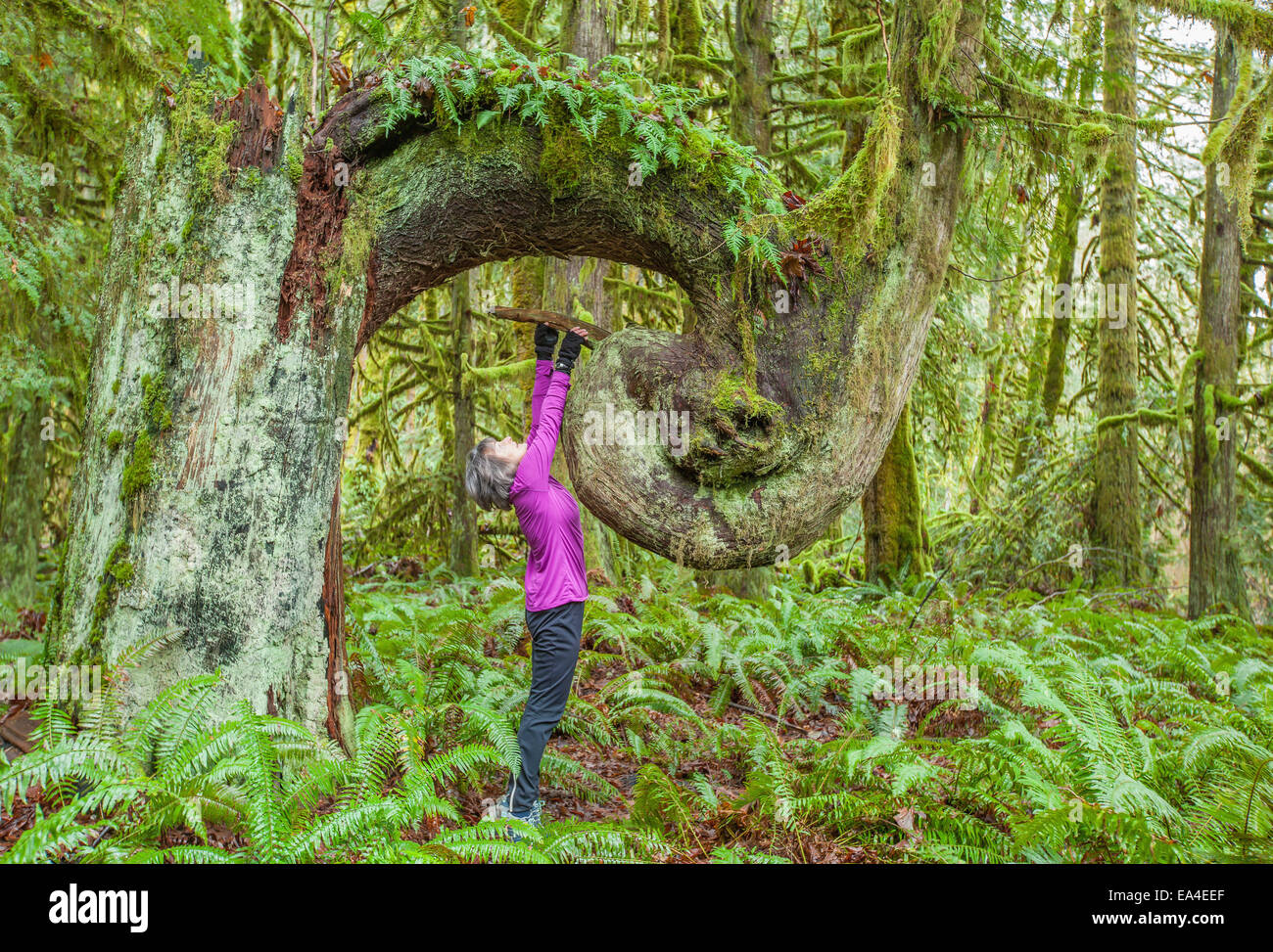 Isola di Vancouver,Cowichan Valley Regional Park Foto Stock