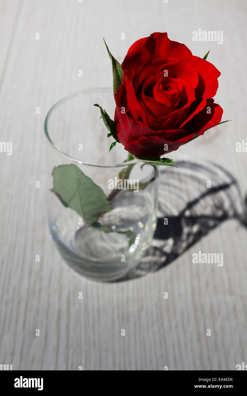 Single Red Rose in un bicchiere sul tavolo di legno top Foto stock - Alamy