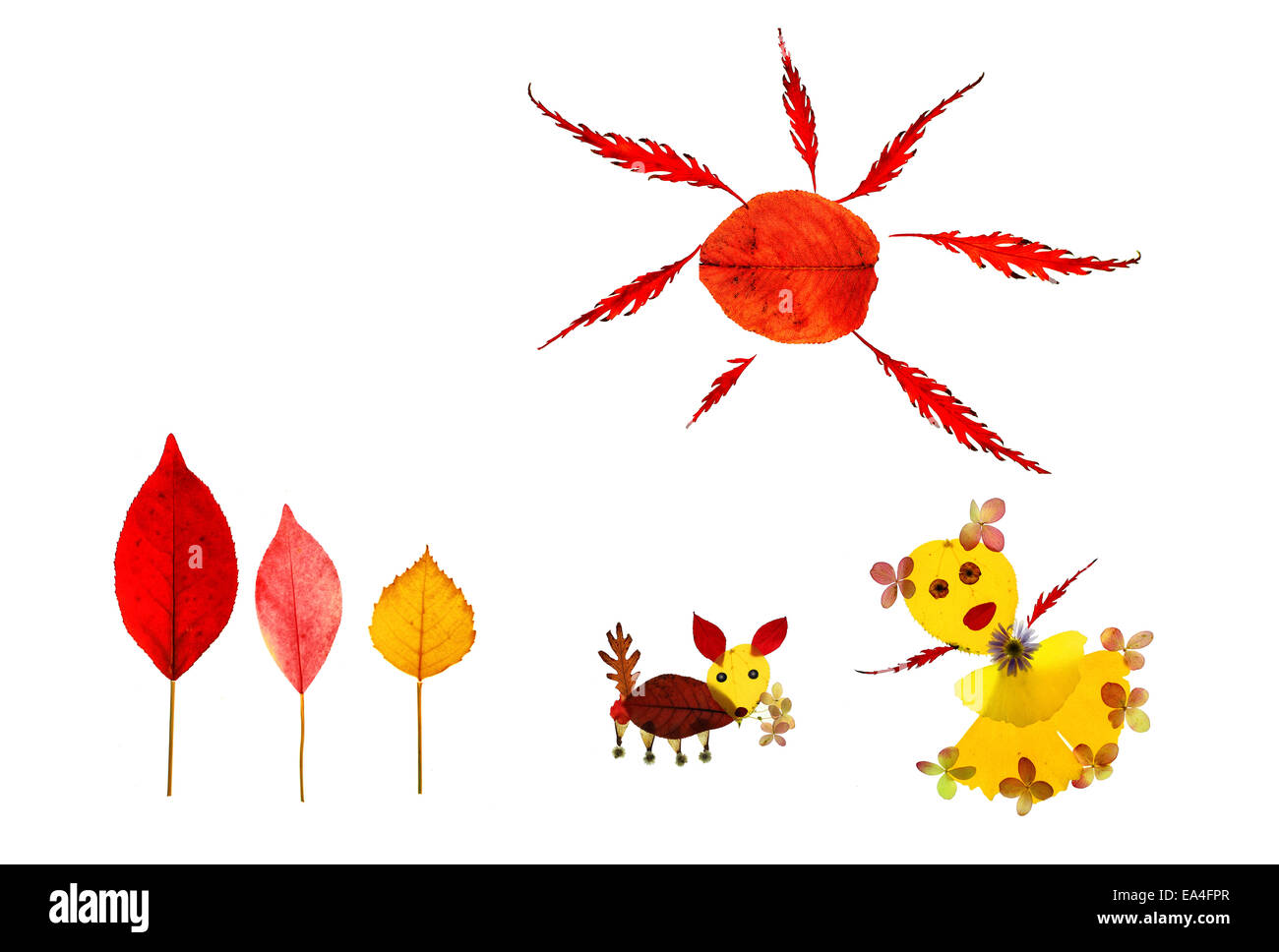 Ragazza e cane dancing per celebrare il Giorno del Ringraziamento nella foresta sotto il sole splendente. L'opera originale è stata realizzata a mano con foglie di autunno Foto Stock