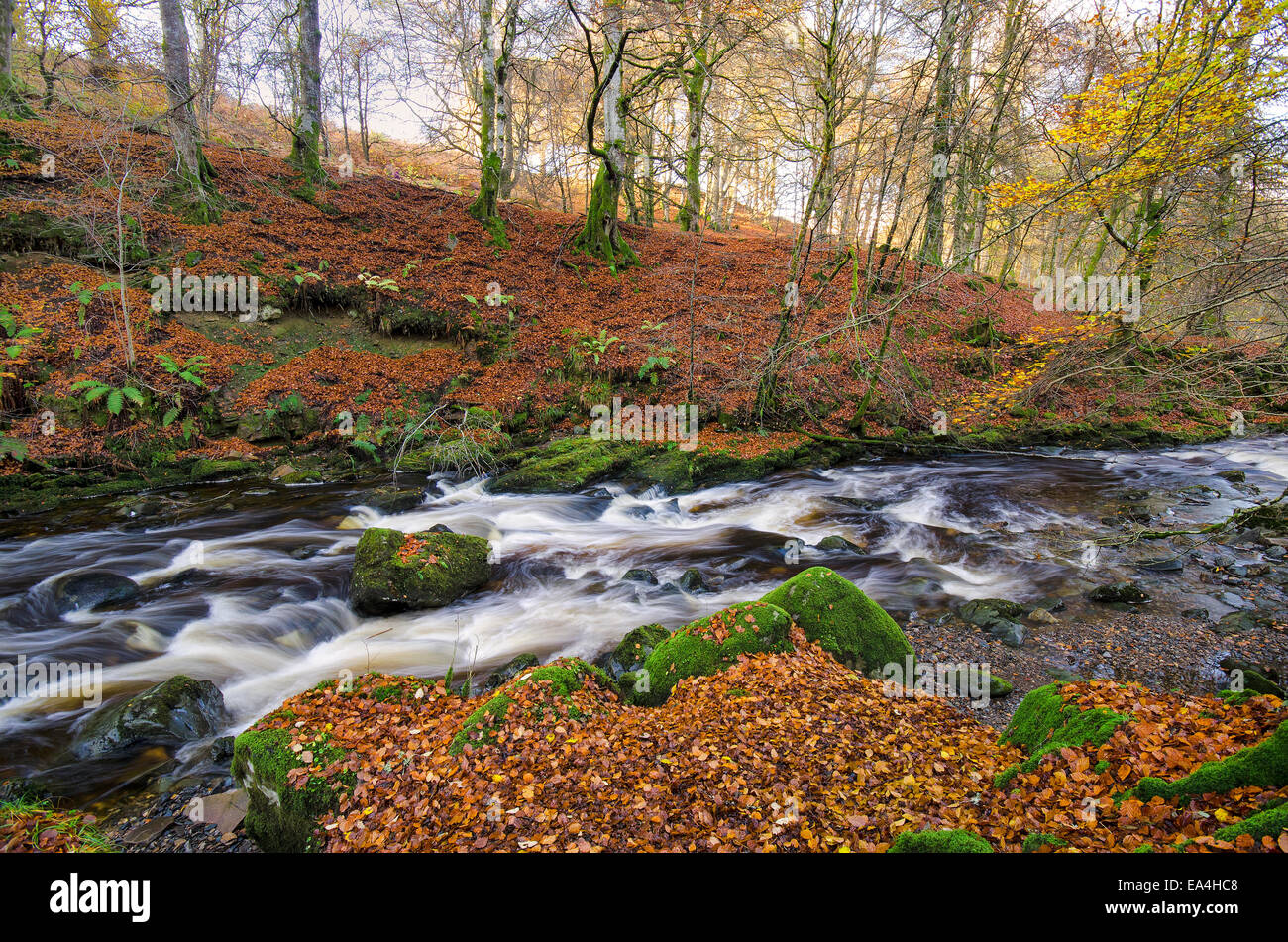 La Birks di Aberfeldy Foto Stock