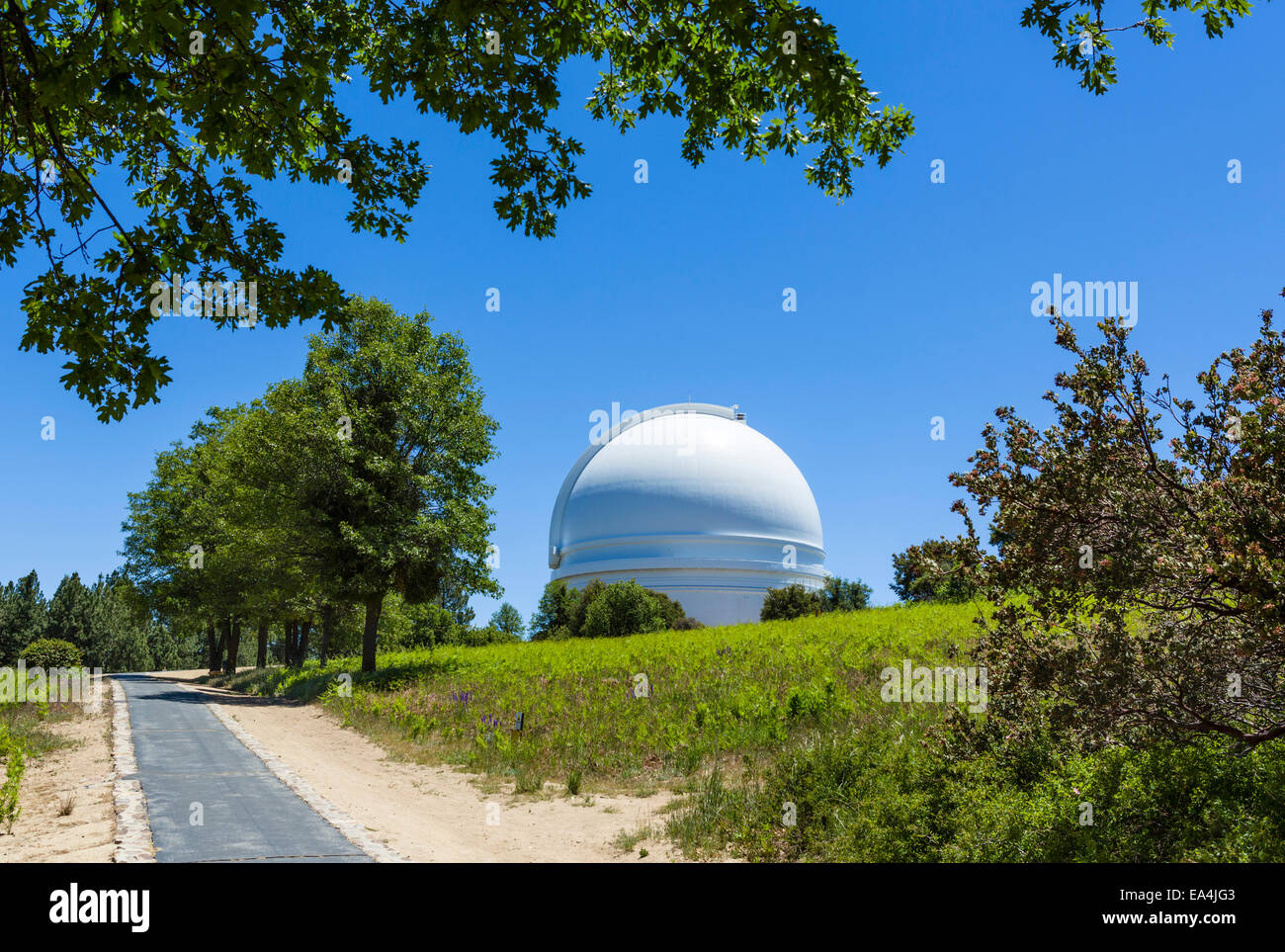 La cupola della 200 pollici telescopio Hale presso l'Osservatorio Palomar, della Contea di San Diego, California, Stati Uniti d'America Foto Stock