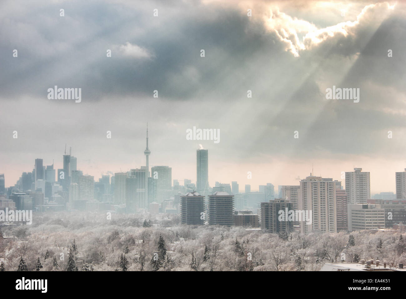 Toronto Downtown skyline con edifici monumentali oscurata dalla tempesta di neve e la foresta di primo piano illuminato da raggi crepuscolari da sun. Foto Stock